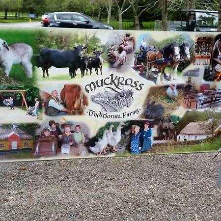 Holiday home Lakeside House No 19 Holiday Village Killarney